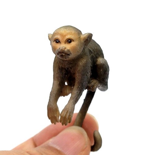 일본원숭이,삐삐원숭이